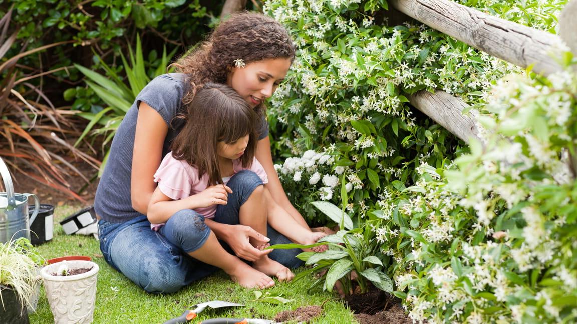 mother 和 daughter planting in garden